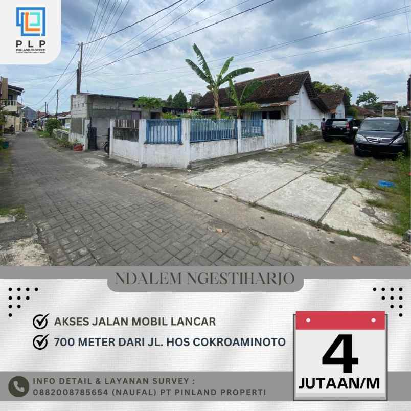 dijual tanah cungkuk ngestiharjo