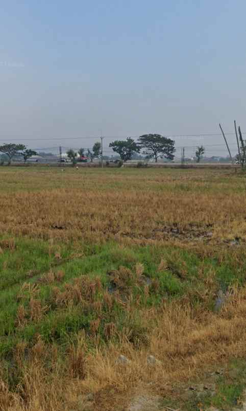 dijual tanah curug reja