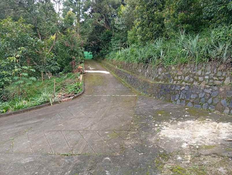 dijual tanah deket sumarecon bogor