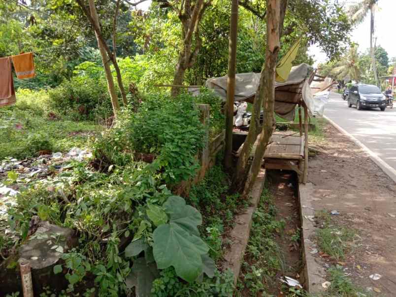 dijual tanah dengan luasan 2419m2 shm