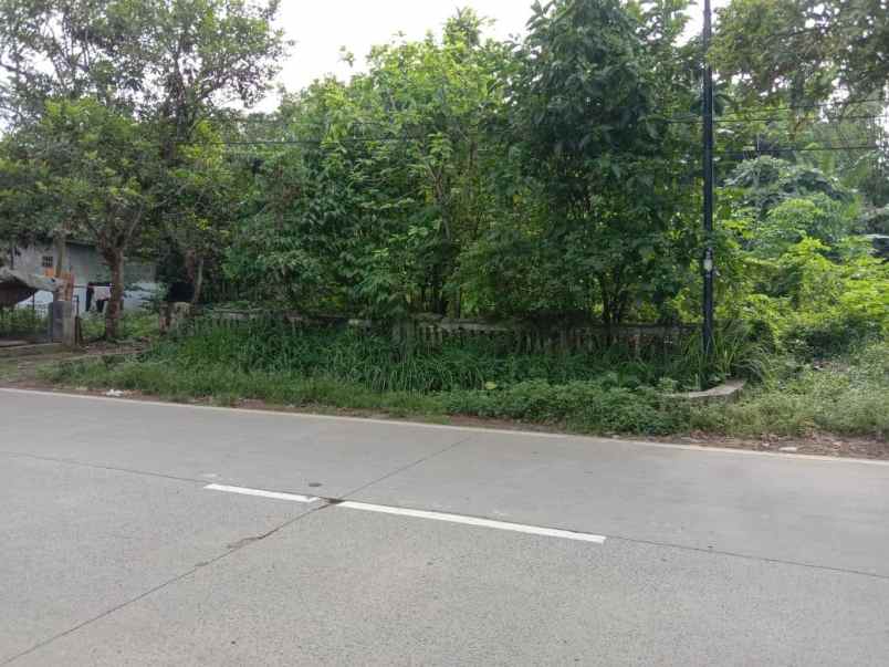 dijual tanah dengan luasan 2419m2 shm