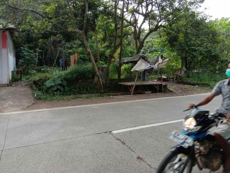 dijual tanah dengan luasan 2419m2 shm