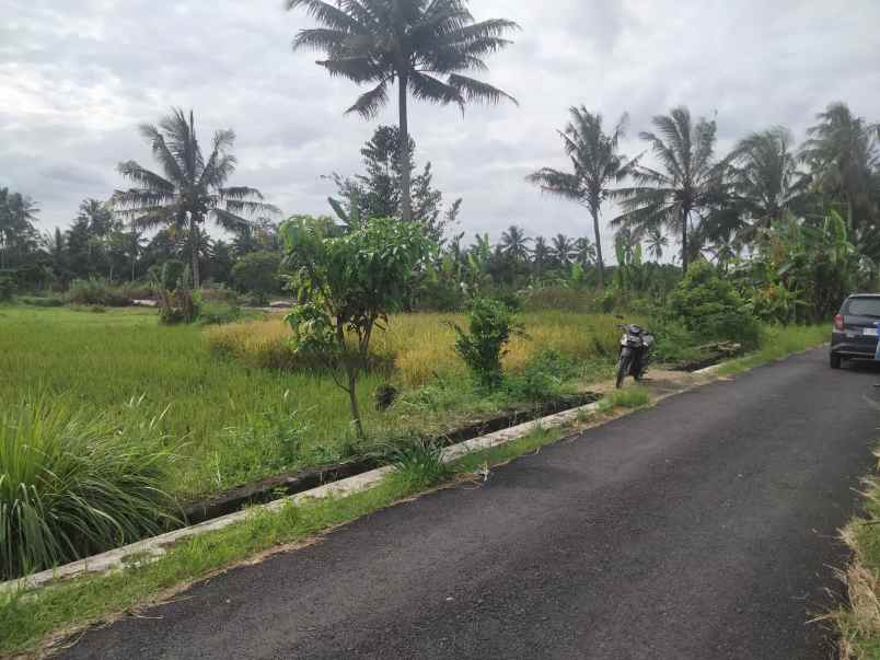 dijual tanah dero wetan harjobinangun