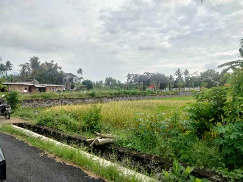 dijual tanah dero wetan harjobinangun