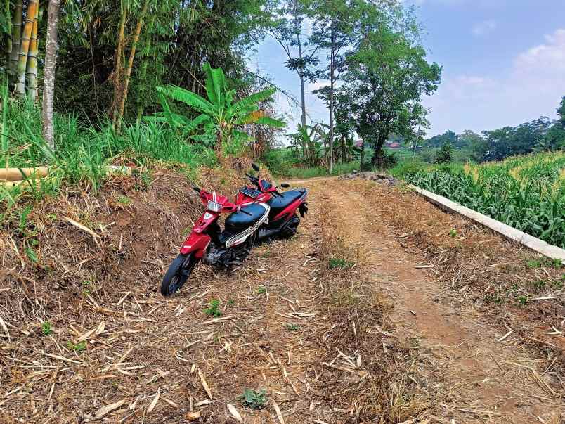 dijual tanah desa kemendung kec trawas