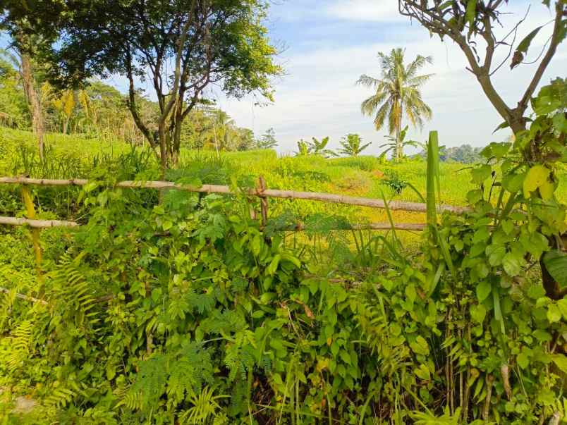 dijual tanah desa tanjungsari