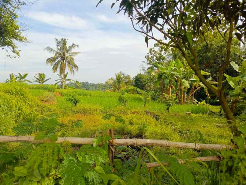 dijual tanah desa tanjungsari