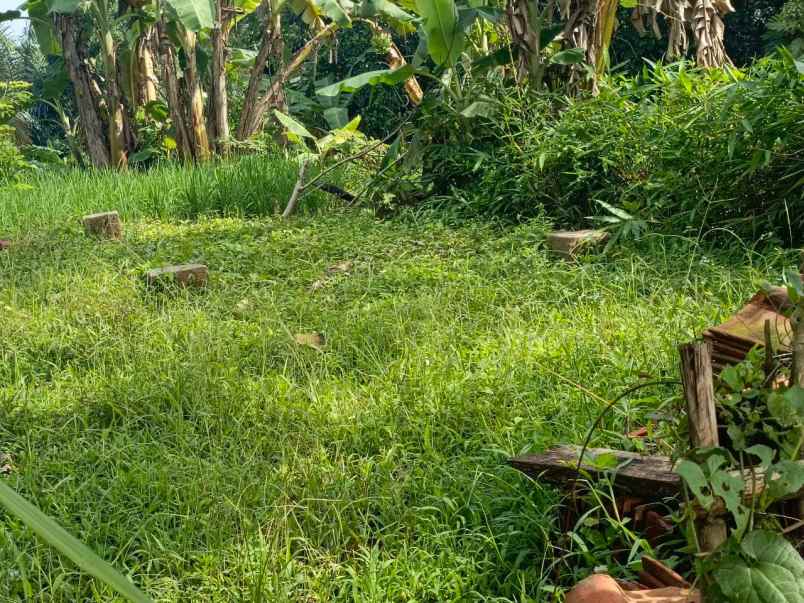 dijual tanah desa tanjungsari