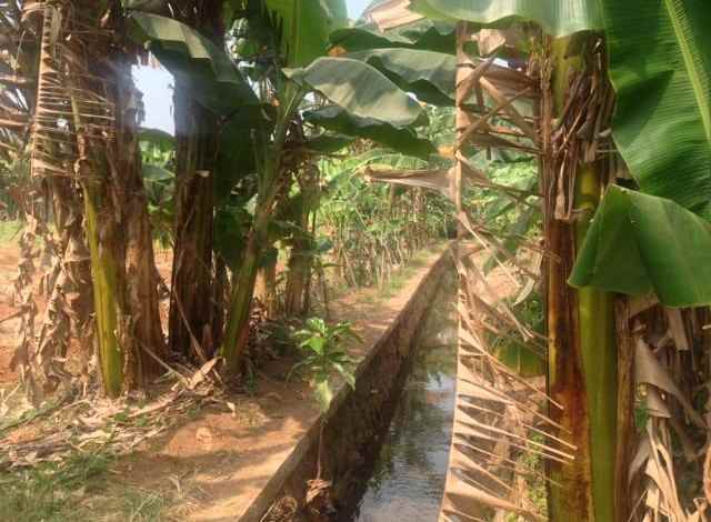 dijual tanah di akses utama raya parpostel jatiasih