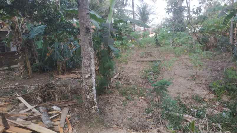 dijual tanah di ciwuni cilacap