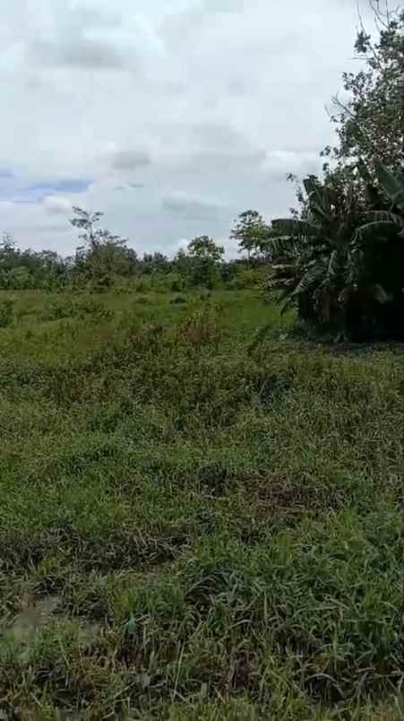 dijual tanah di palur solo