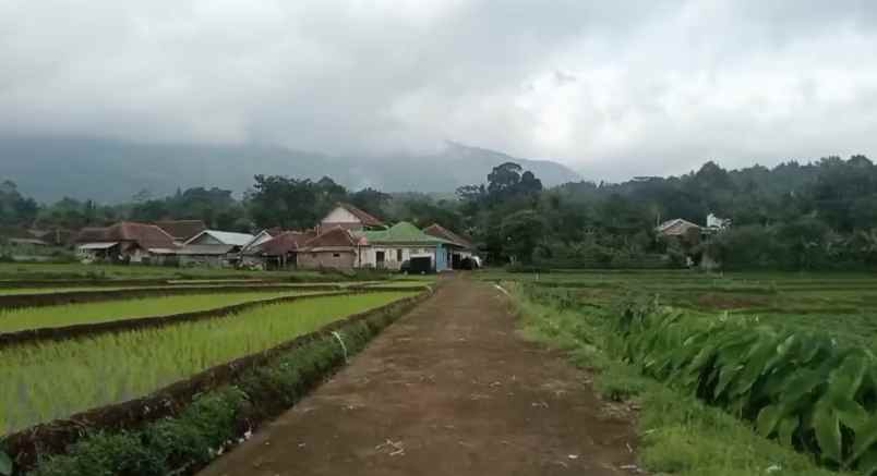 dijual tanah di setianegara