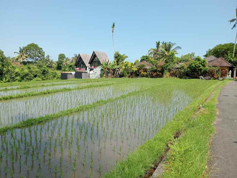 dijual tanah ds lalanglinggah