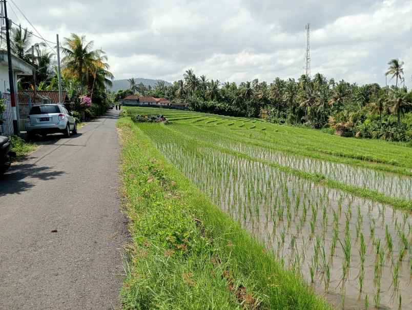 dijual tanah ds lalanglinggah