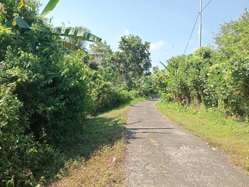 dijual tanah ds lumbung