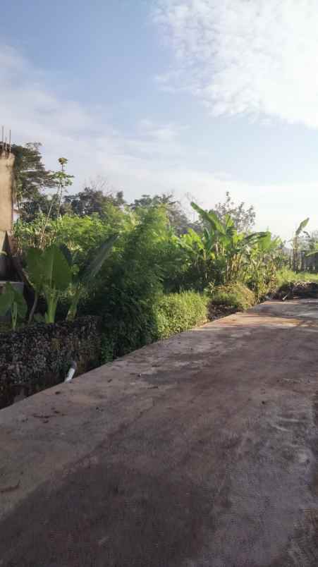 dijual tanah gg teratai no 16a