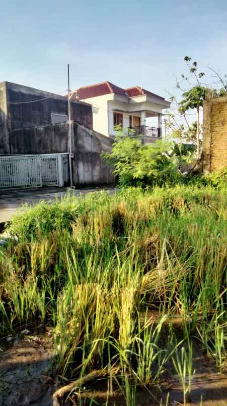 dijual tanah gg teratai no 16a