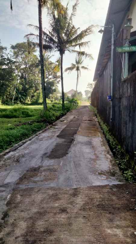 dijual tanah gg teratai no 16a