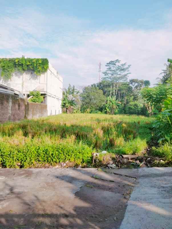 dijual tanah gg teratai no 16a