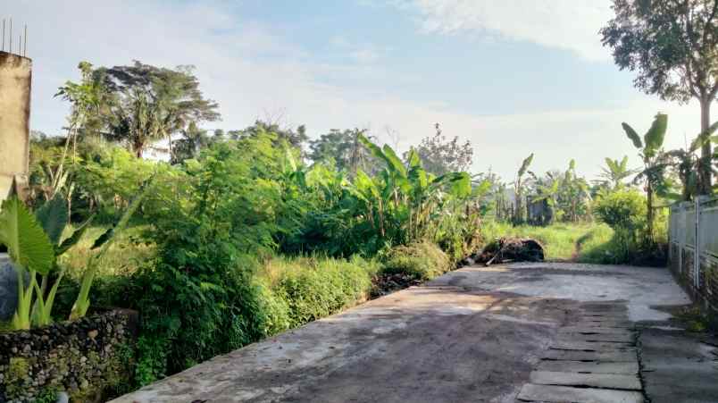 dijual tanah gg teratai no 16a