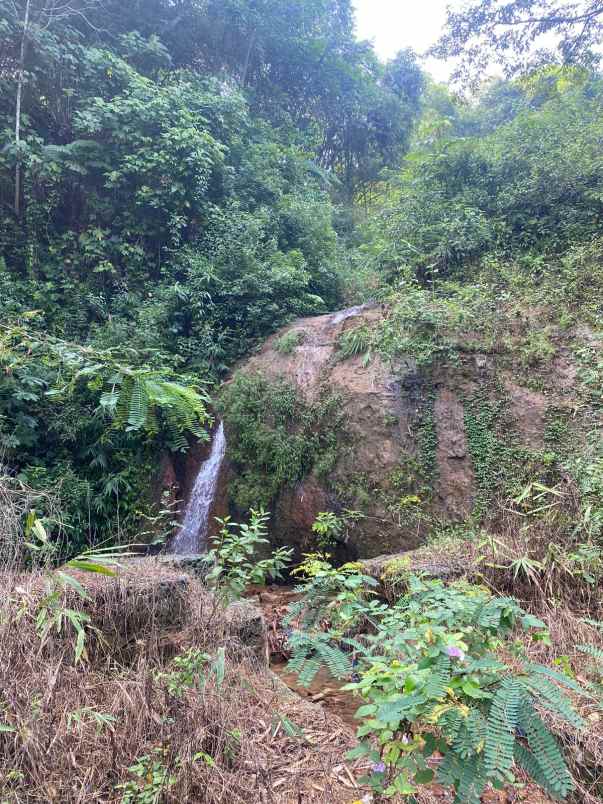 dijual tanah gunung geulis sukaraja bogor