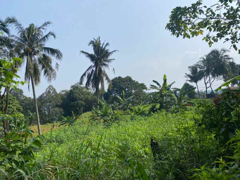 dijual tanah gunung geulis sukaraja bogor