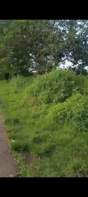 dijual tanah industri di mojokerto