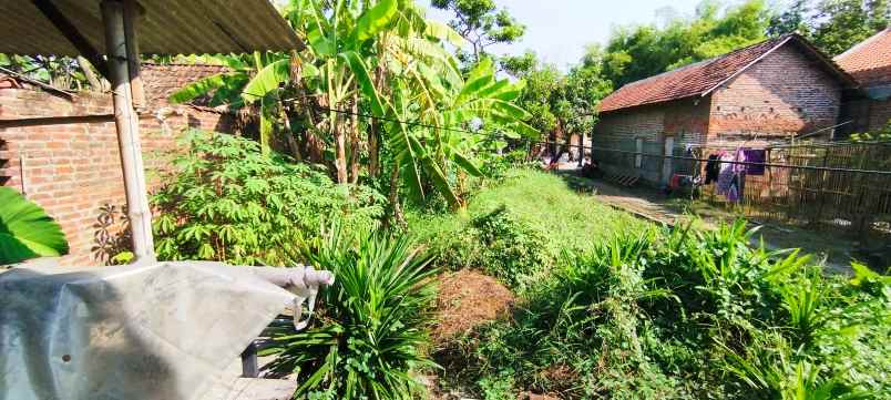 dijual tanah jalan bader rt3 rw3 dsn