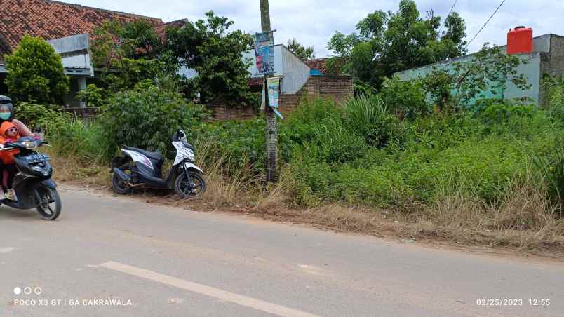 dijual tanah jalan padat karya rajabasa