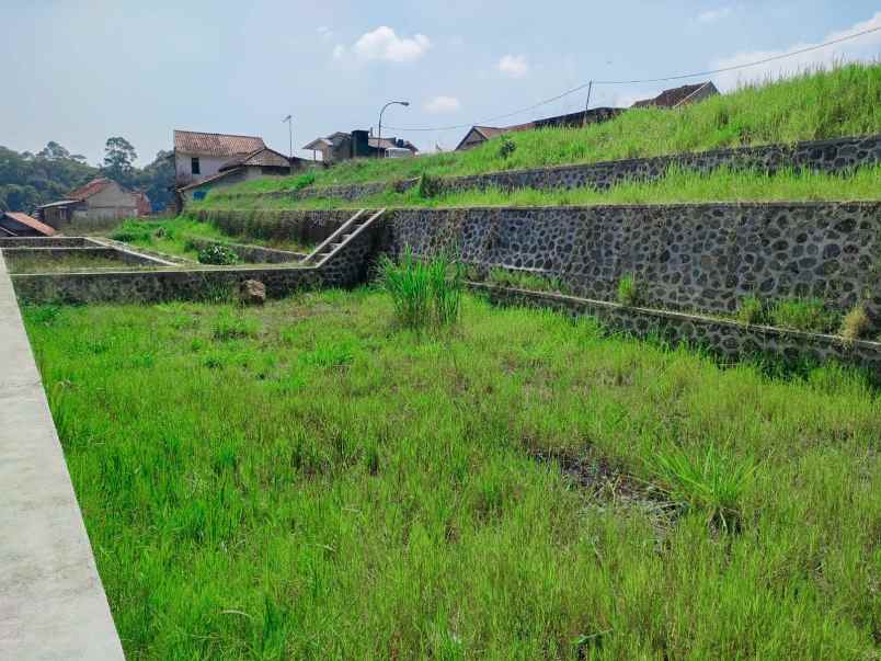 dijual tanah jalan simpang mekar jaya