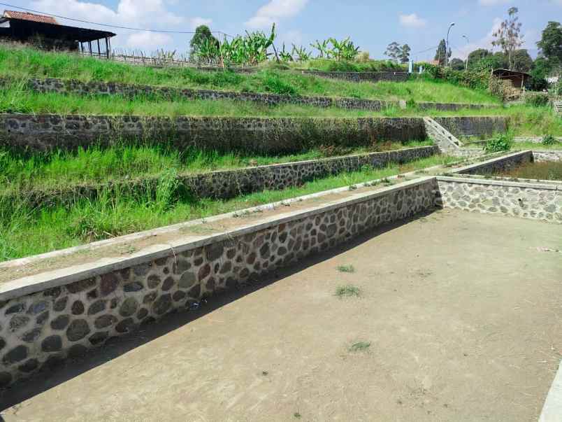 dijual tanah jalan simpang mekar jaya