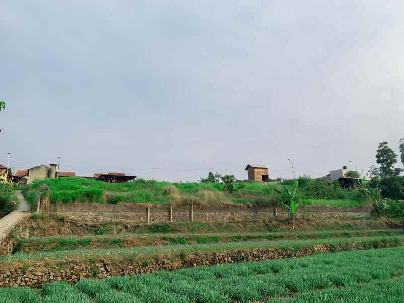 dijual tanah jalan simpang mekar jaya