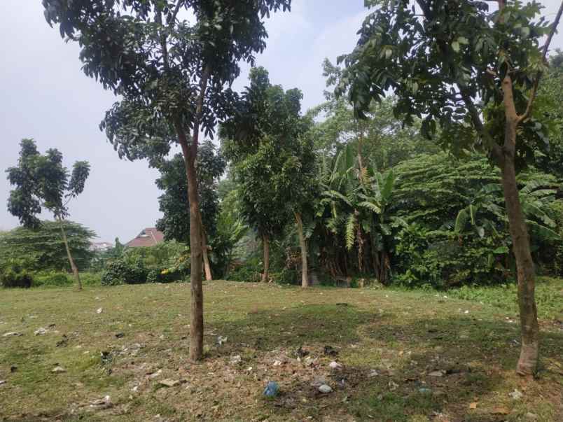 dijual tanah jatipadang