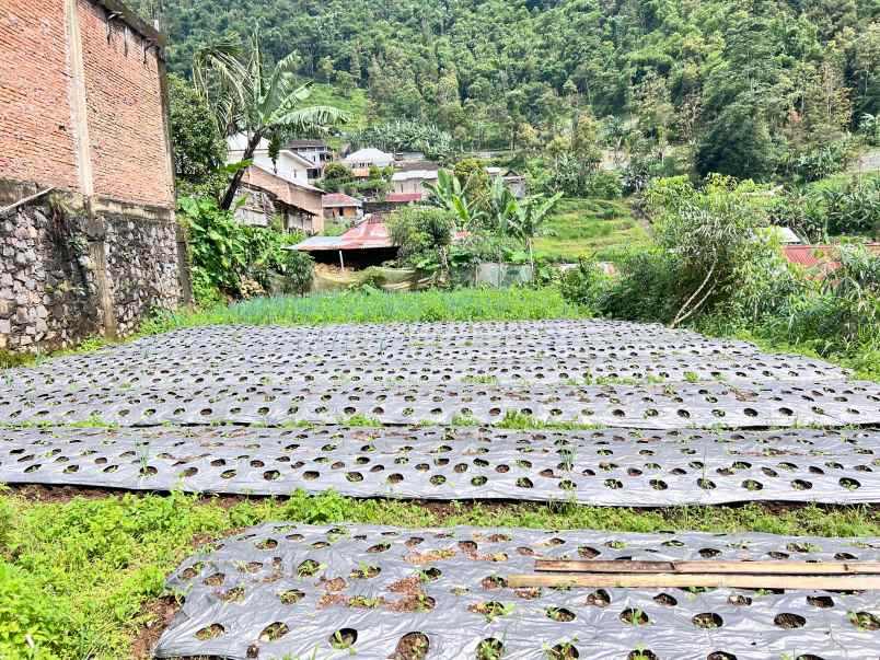 dijual tanah jenawi karanganyar jawa tengah