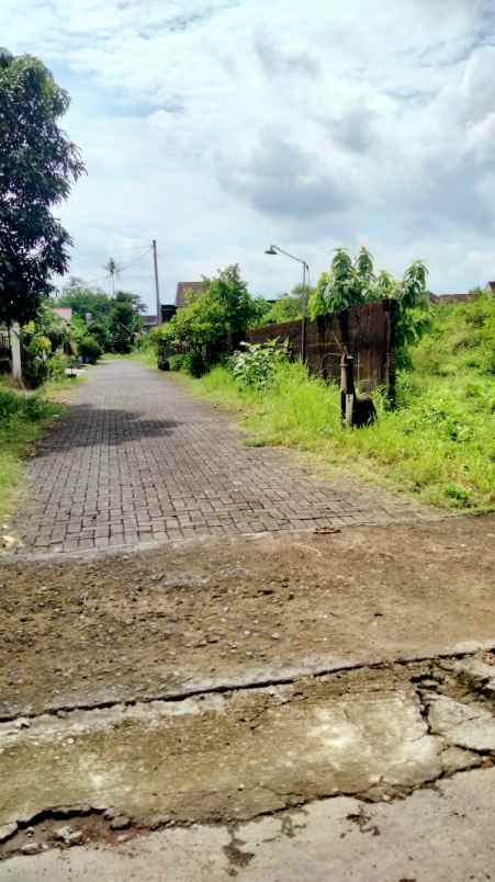 dijual tanah jetis baran sardonoharjo