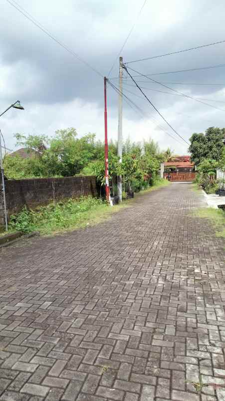 dijual tanah jetis baran sardonoharjo