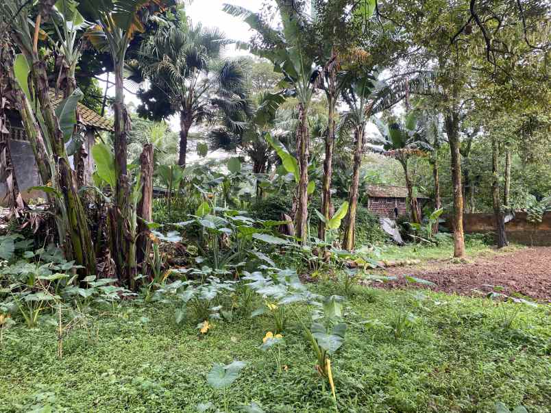 dijual tanah jl cibalung cijeruk