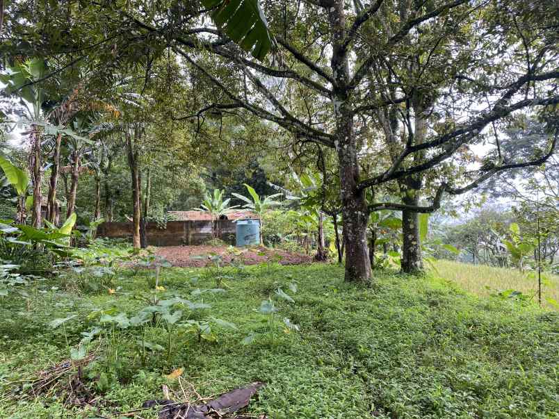dijual tanah jl cibalung cijeruk