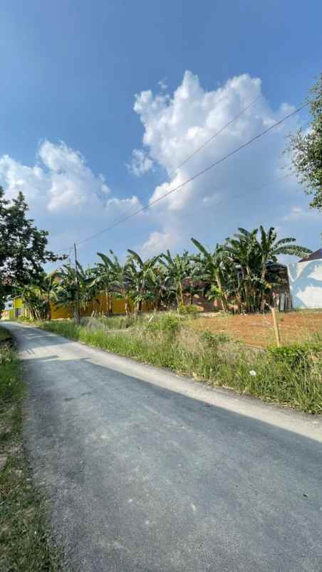 dijual tanah jl nunyai