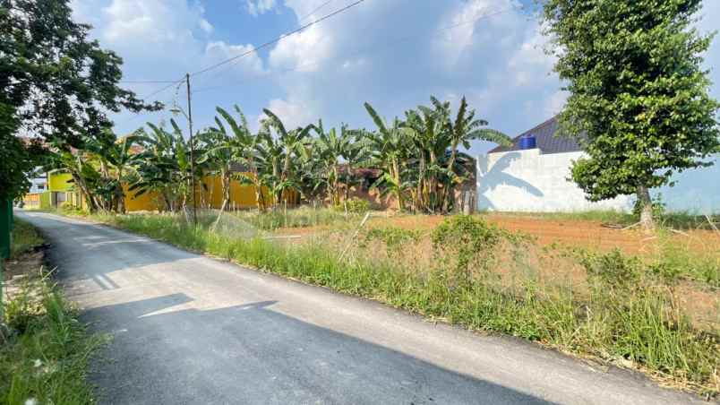 dijual tanah jl nunyai