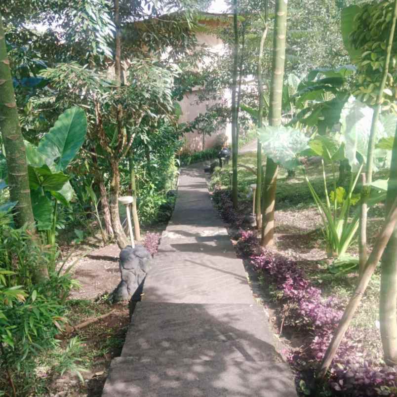 dijual tanah jl rajawali bajera