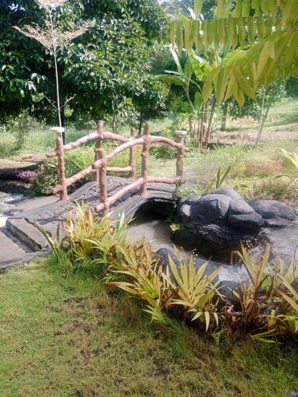 dijual tanah jl rajawali bajera