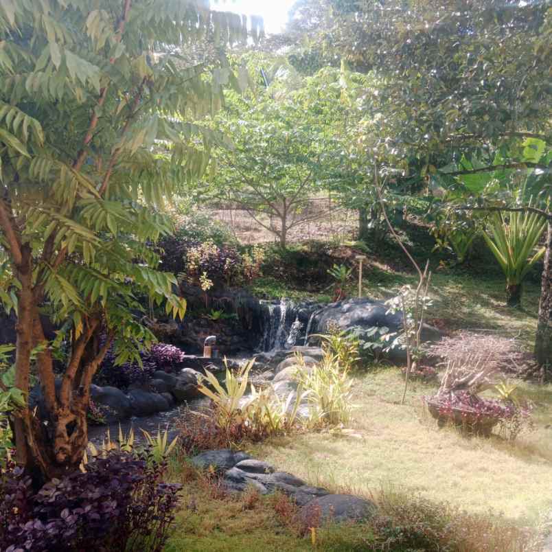 dijual tanah jl rajawali bajera
