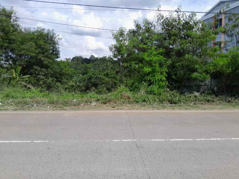 dijual tanah jl raya palka no km 03