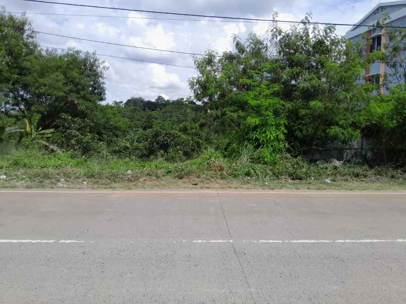 dijual tanah jl raya palka no km 03