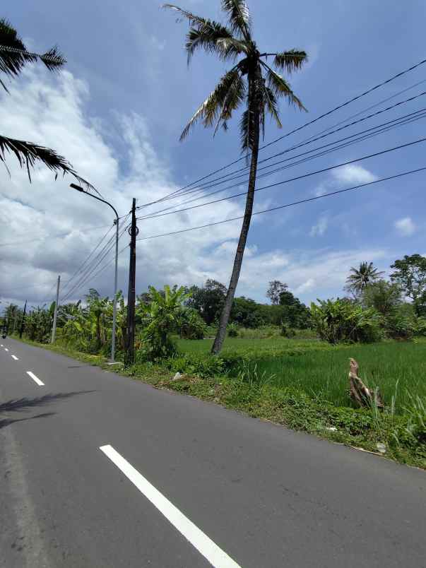 dijual tanah jl raya selomartani