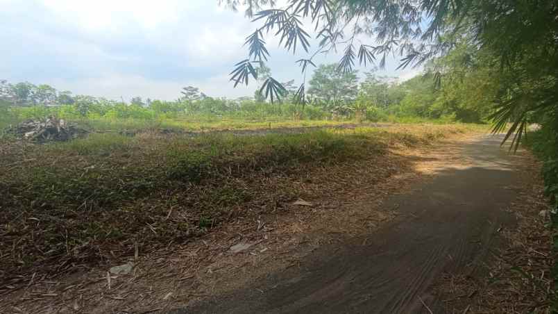 dijual tanah jl taraman