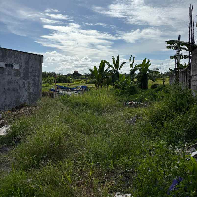 dijual tanah jl tatiapi kelod
