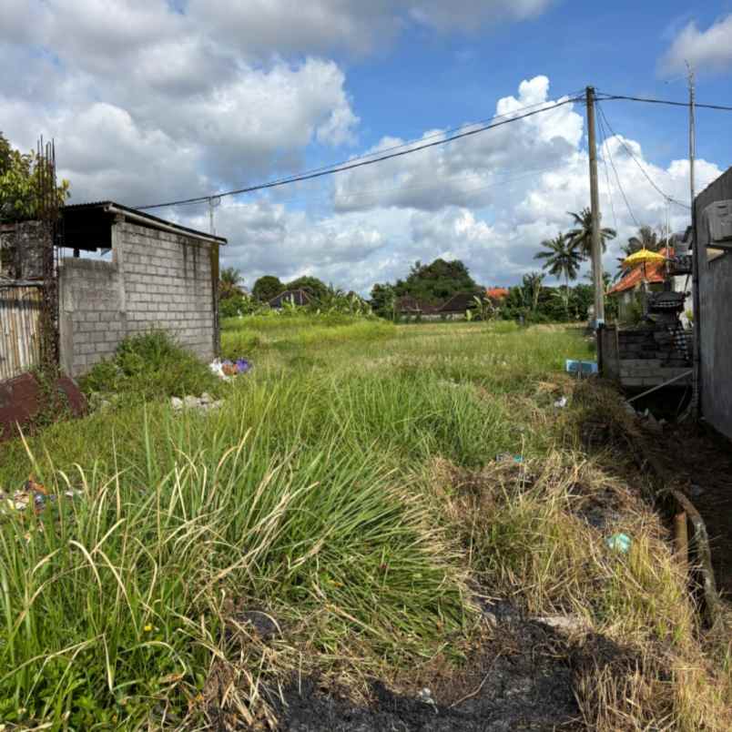 dijual tanah jl tatiapi kelod