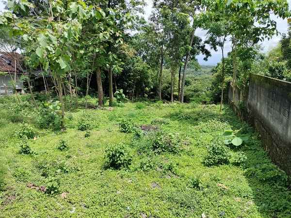 dijual tanah jl tugu gentong sambikerep